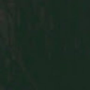 Meet your Posher, Emmelia